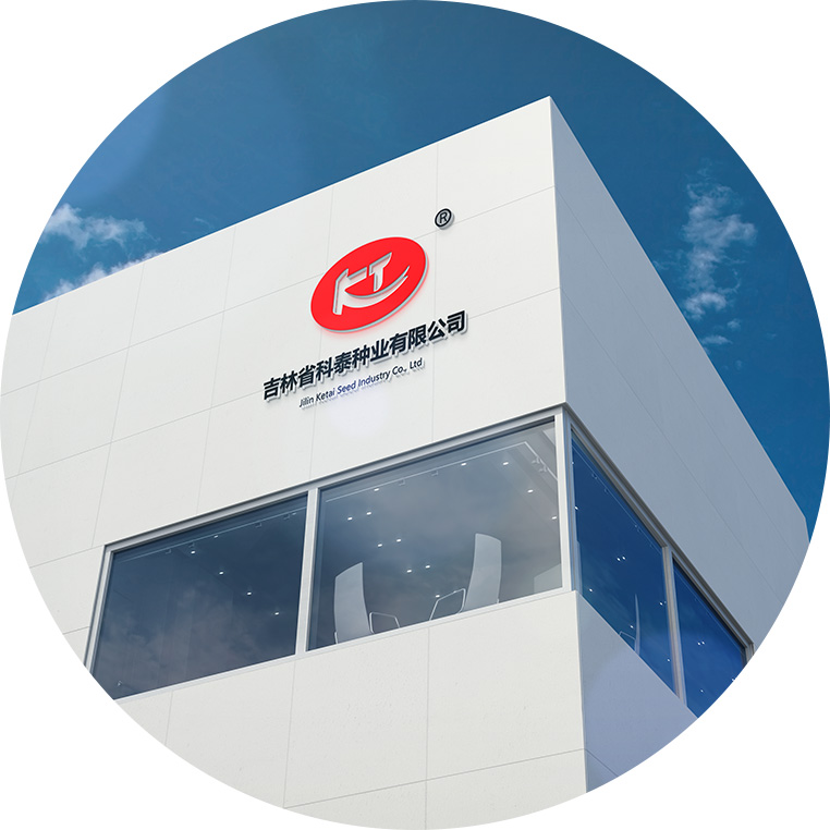 吉林省先美達種業有限公司